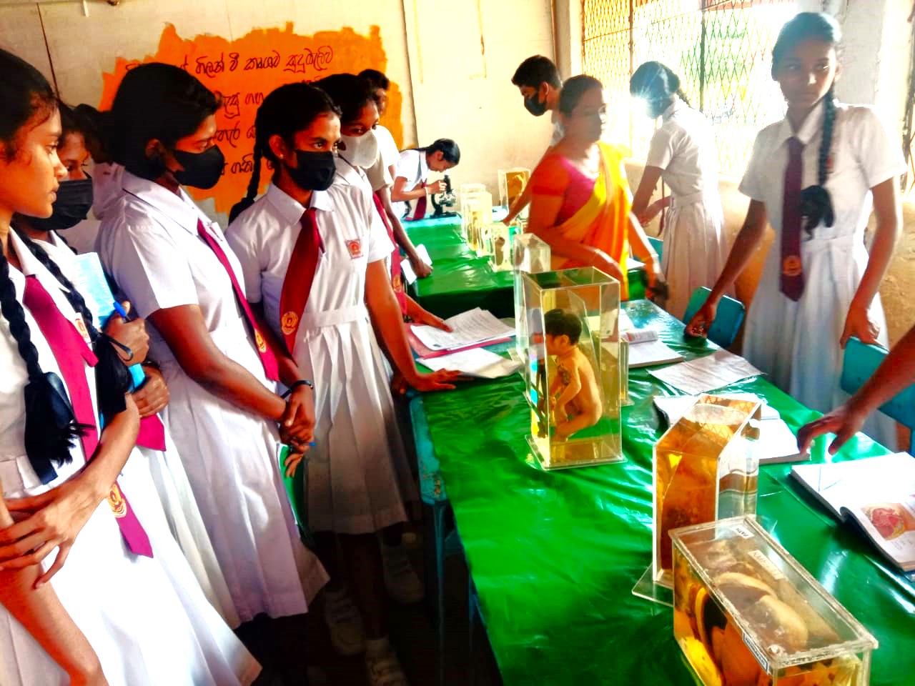 admission-of-students-for-the-year-2024