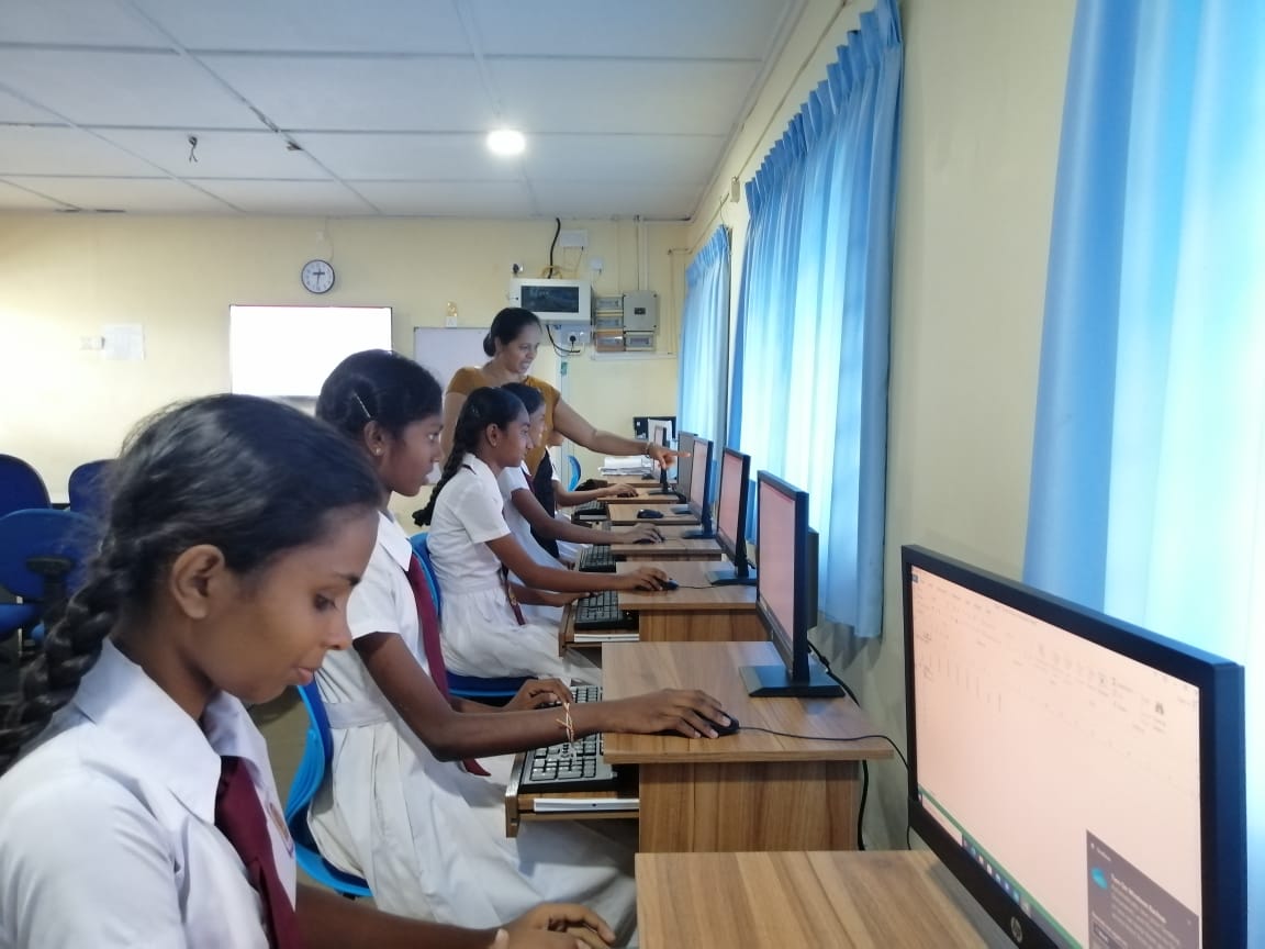 Web Development Team